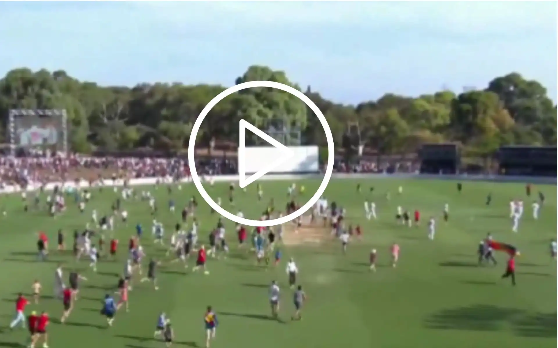 [Watch] Fans Storm The Field, Steal Stumps And Celebrate Wildly After South Australia’s Shield Win